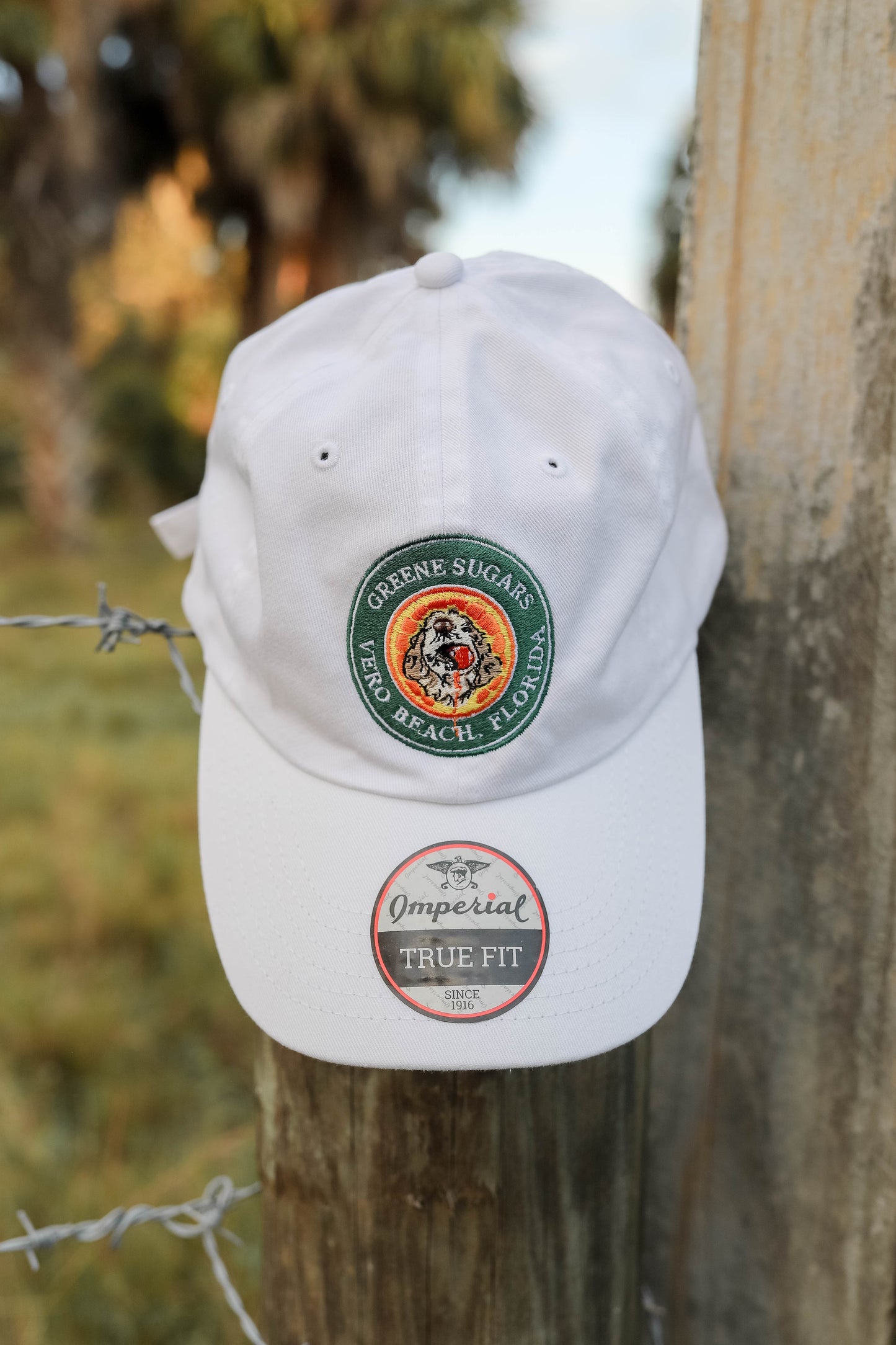 The Original Cotton Dad Hat - White