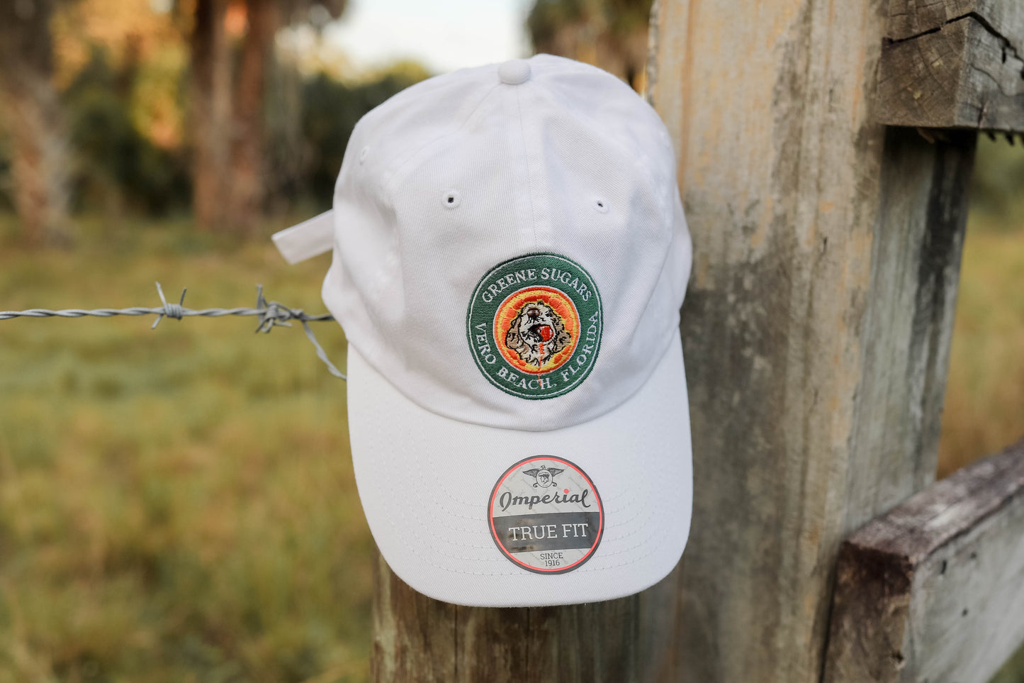The Original Cotton Dad Hat - White